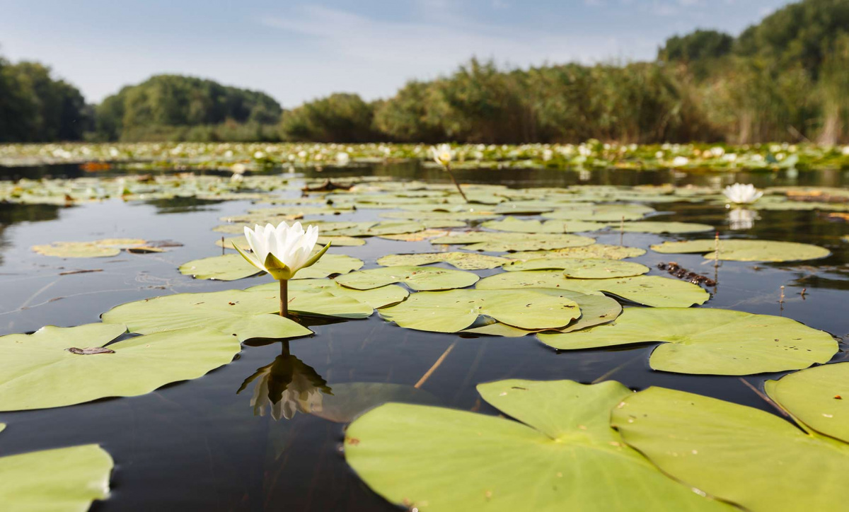 lake igyekszik az ember nő találkozása juan les pins