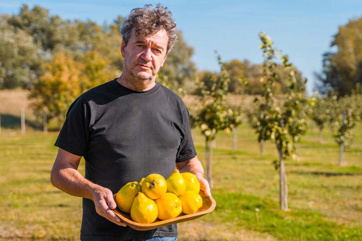 Bélbaktériumok fogyás vizsgálata. A természet tartományának fogyása