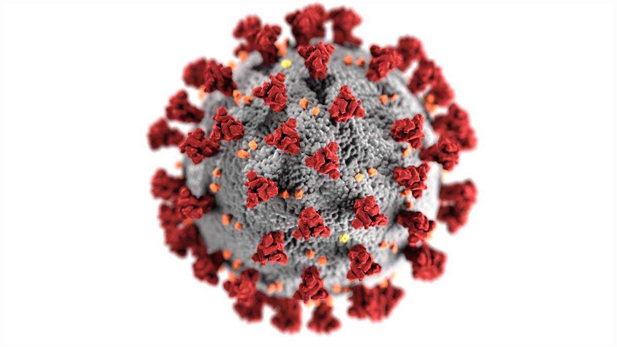 koronavirus_0.jpg