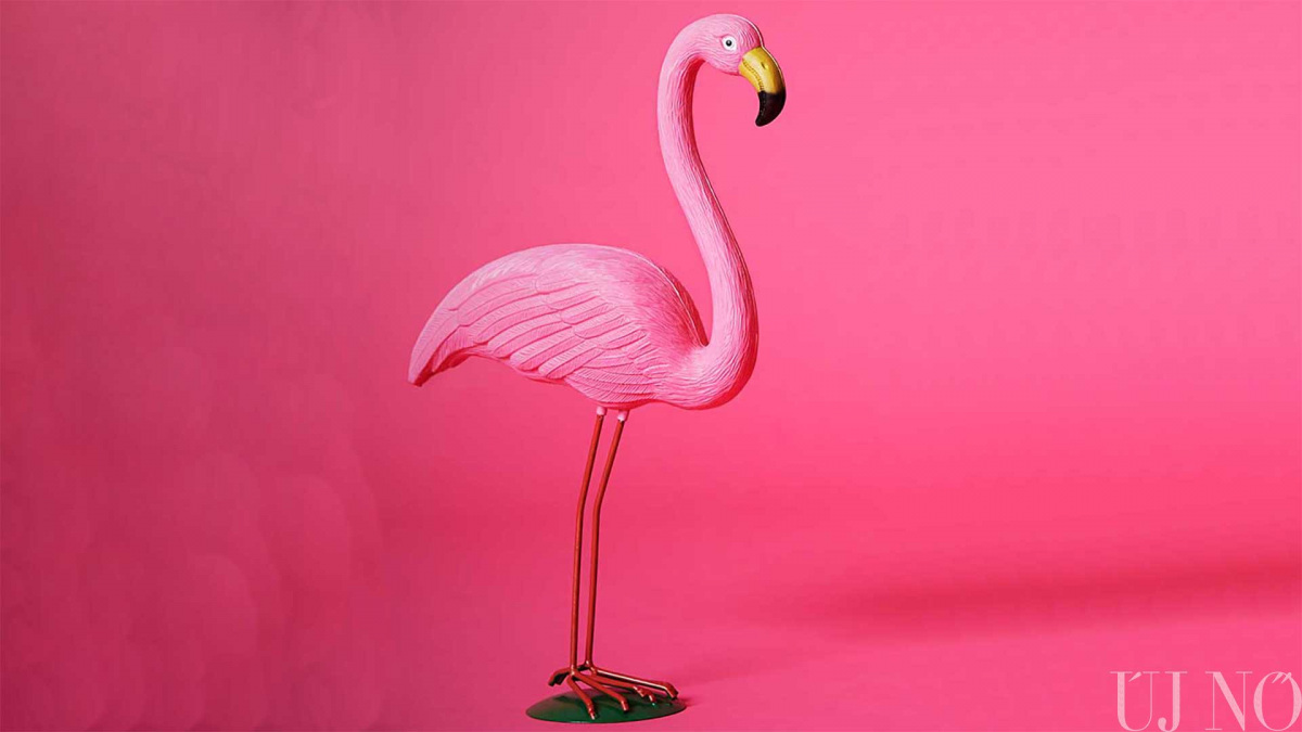 rozsaszin-flamingo.jpg