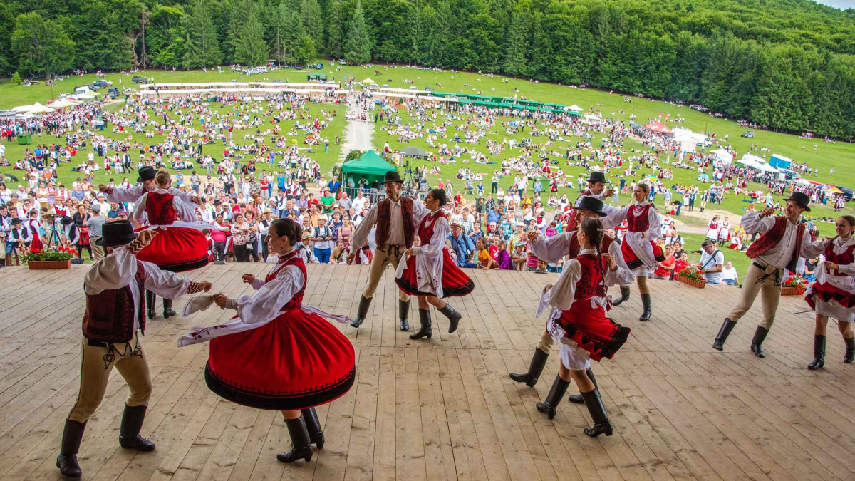 lányok, nők, barátnő, szép, kávézó, kávé, fiatal, közlés, barátság, találkozó, beszélgetés