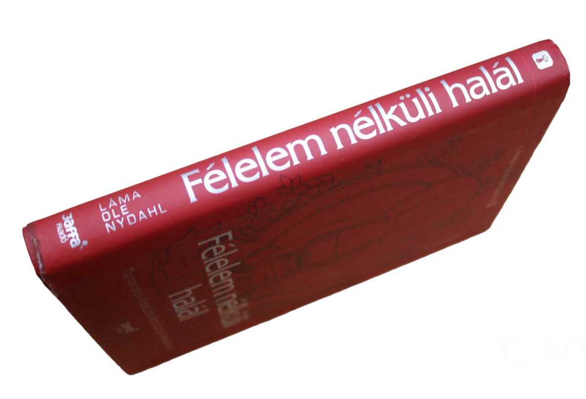 felelem-nelkuli-halal-konyv.jpg