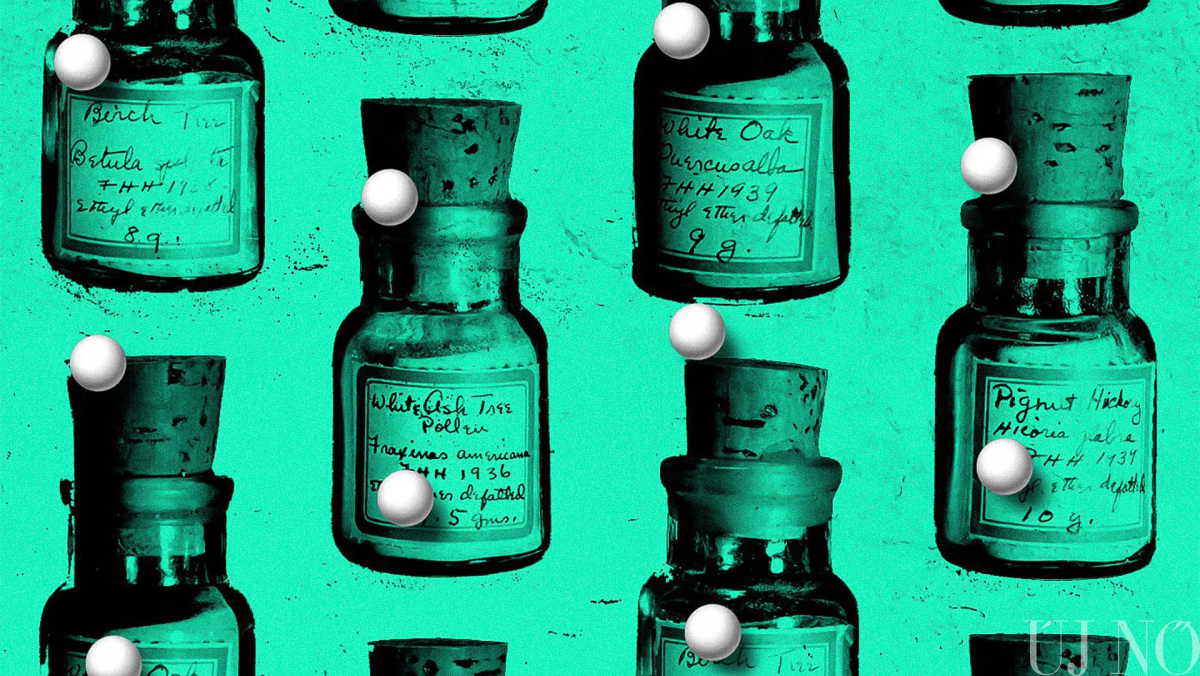 homeopatia-kezdo.jpg