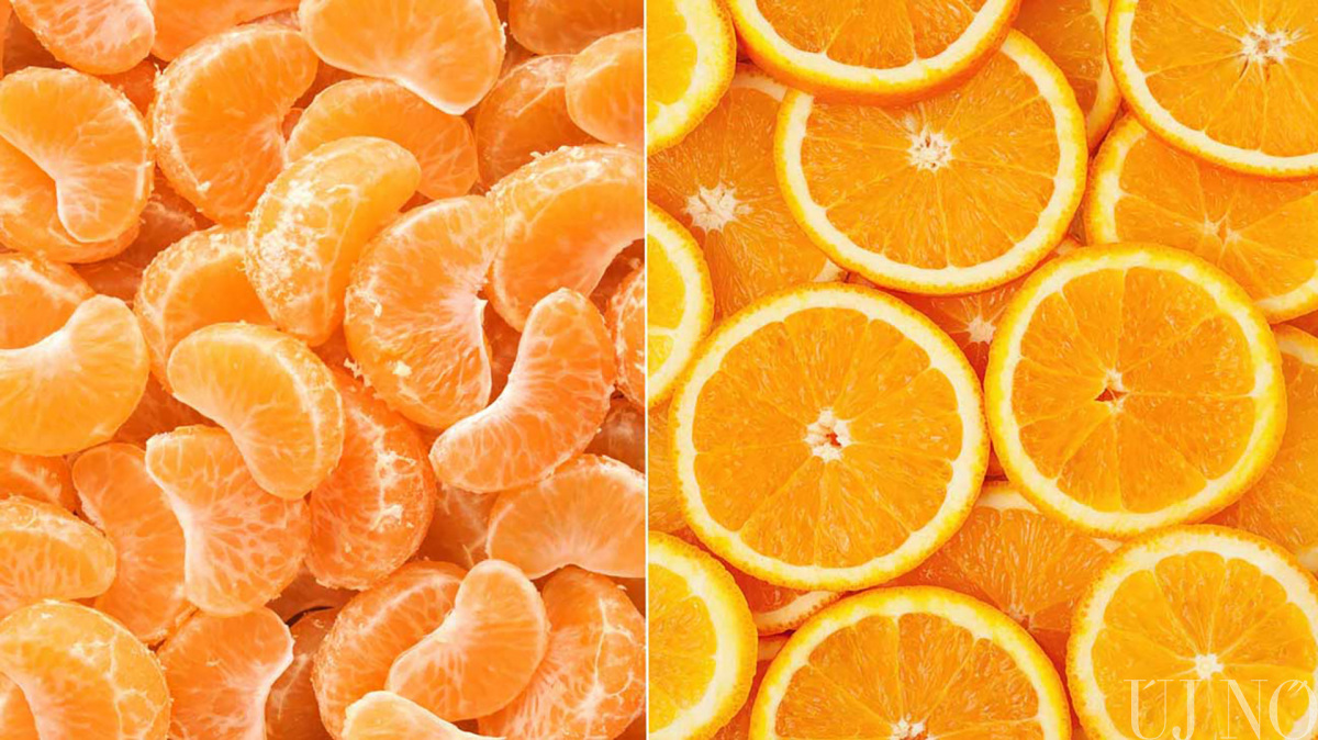 illatok-narancs.jpg