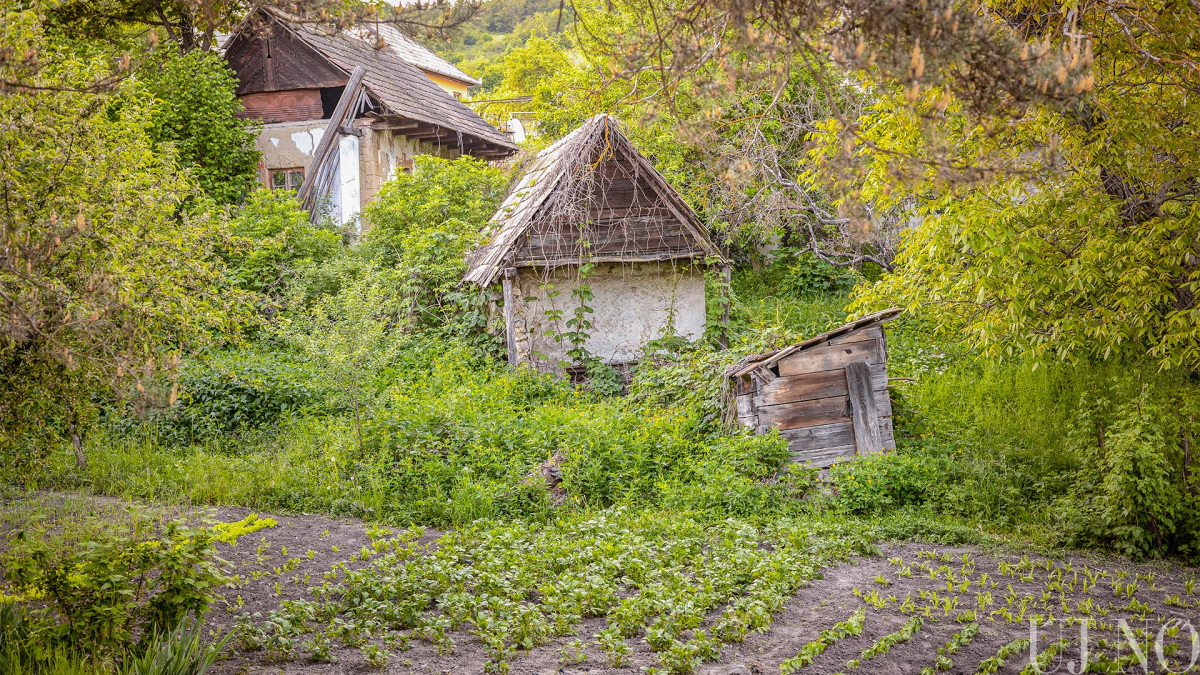 kelenye-majdnem-zsakfalu-kiskert.jpg