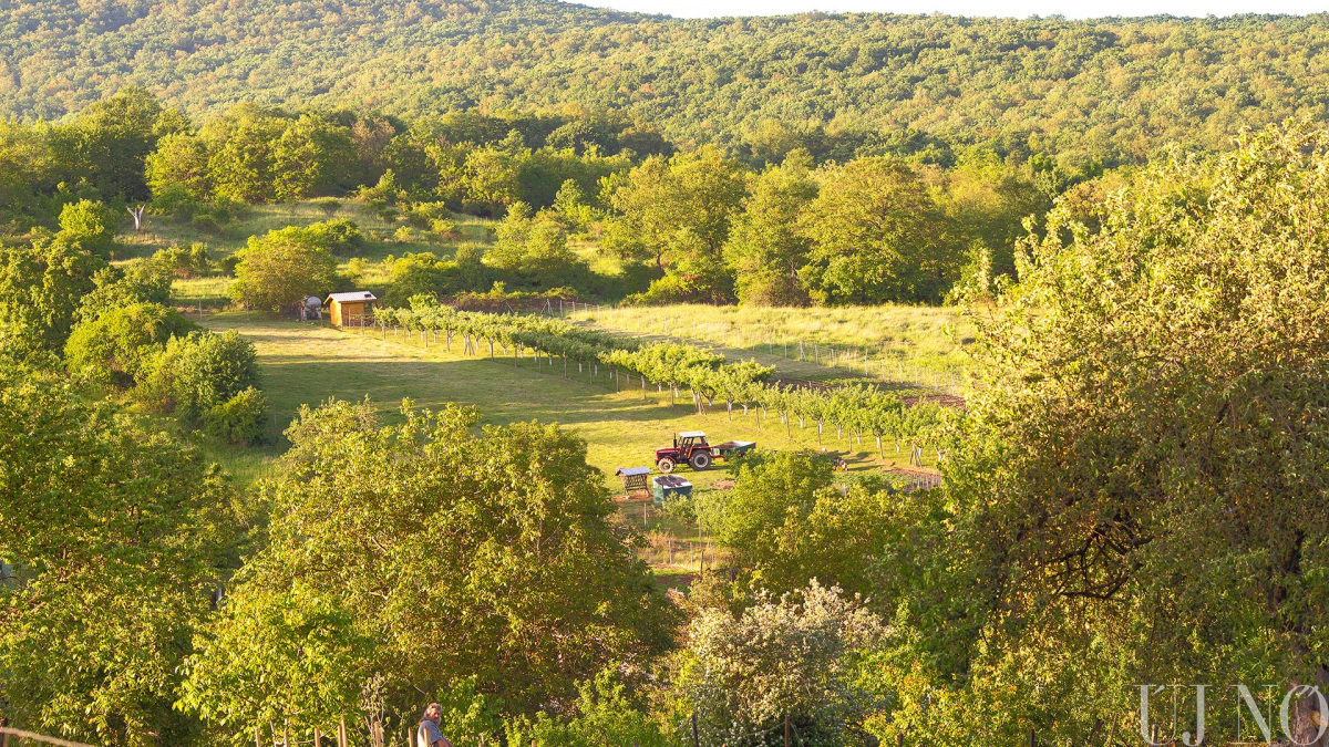 kelenye-mesefalu-traktoros.jpg