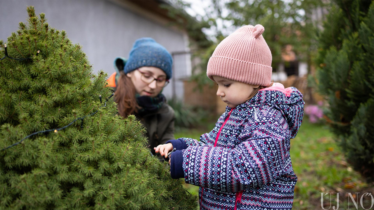 montessori_karacsony_16.jpg