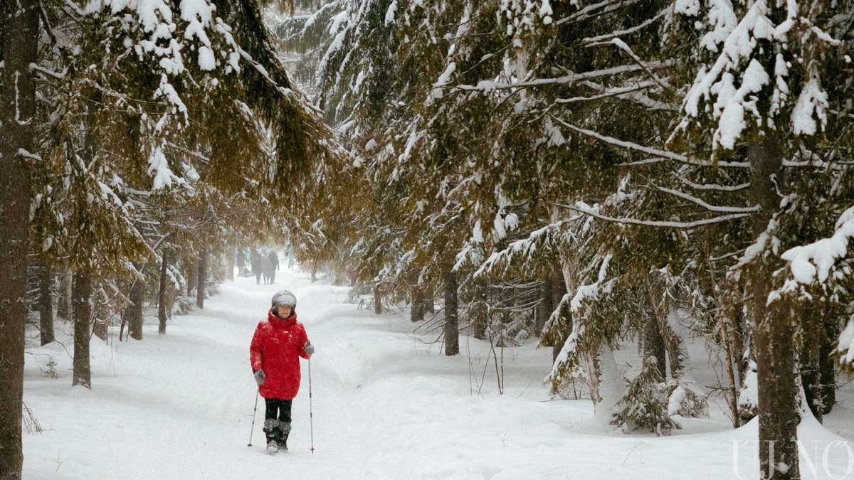 nordic-walking-orvosi-tanacsok-kezdo.jpg