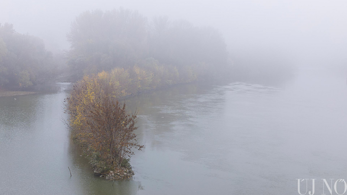 novemberi-lapajanlo-osz-guta.jpg