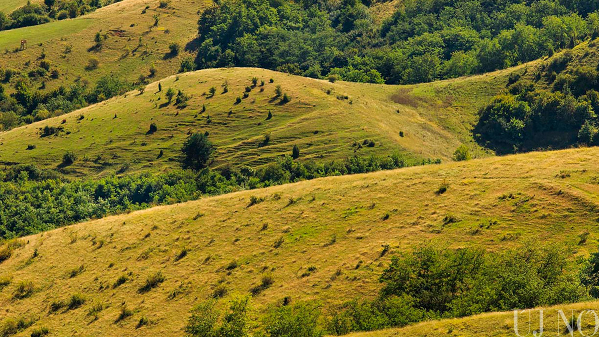 nyeregbe-pattan-es-fotozik-kezdo.jpg