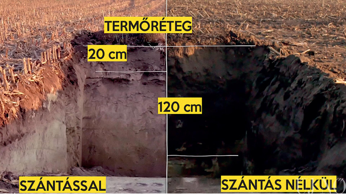 pusztul-a-talaj-termoreteg.jpg