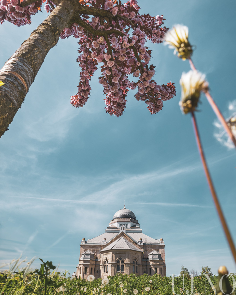 1j6a0530-edit.jpg