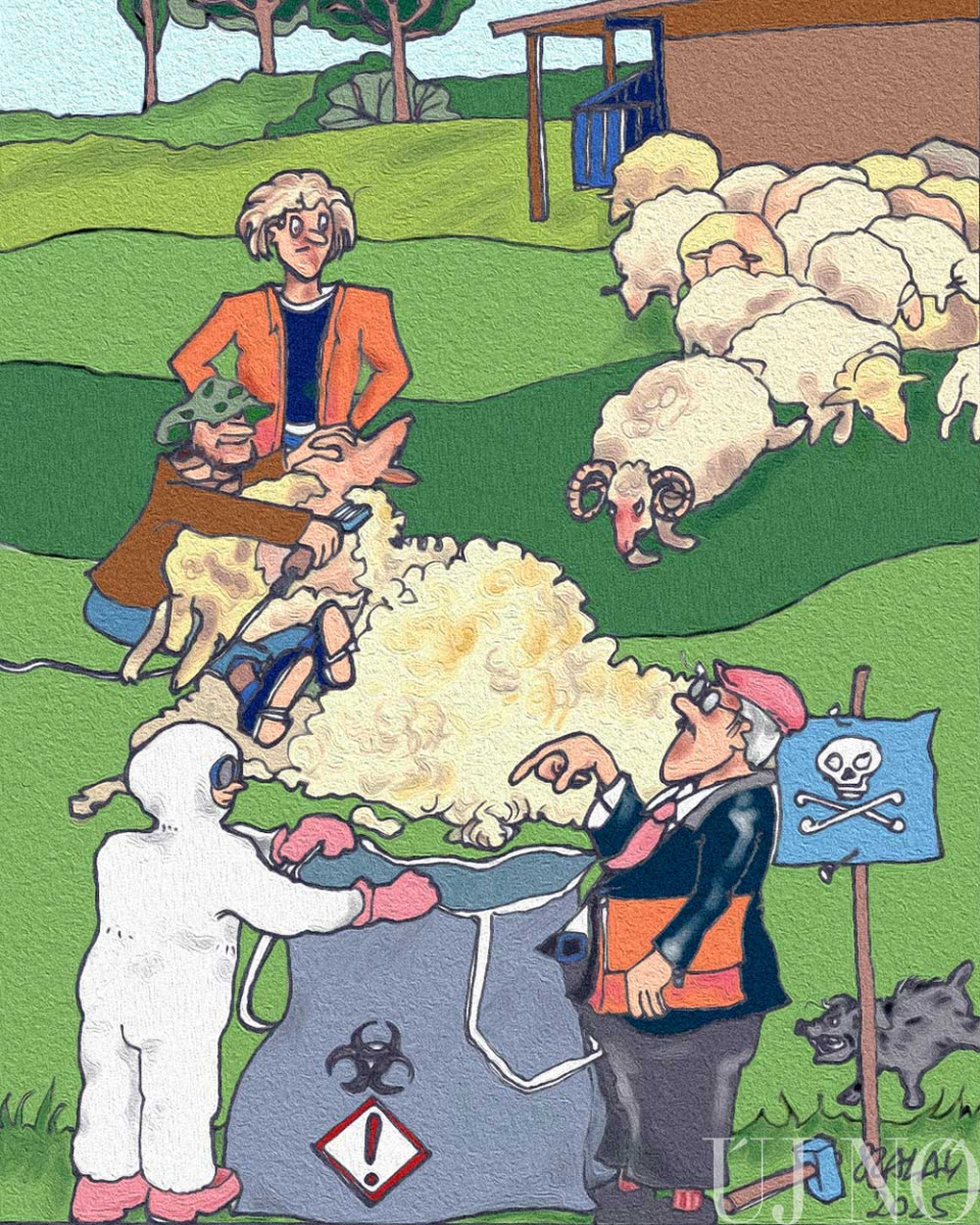 a-gyapju-veszelyes-belso.jpg