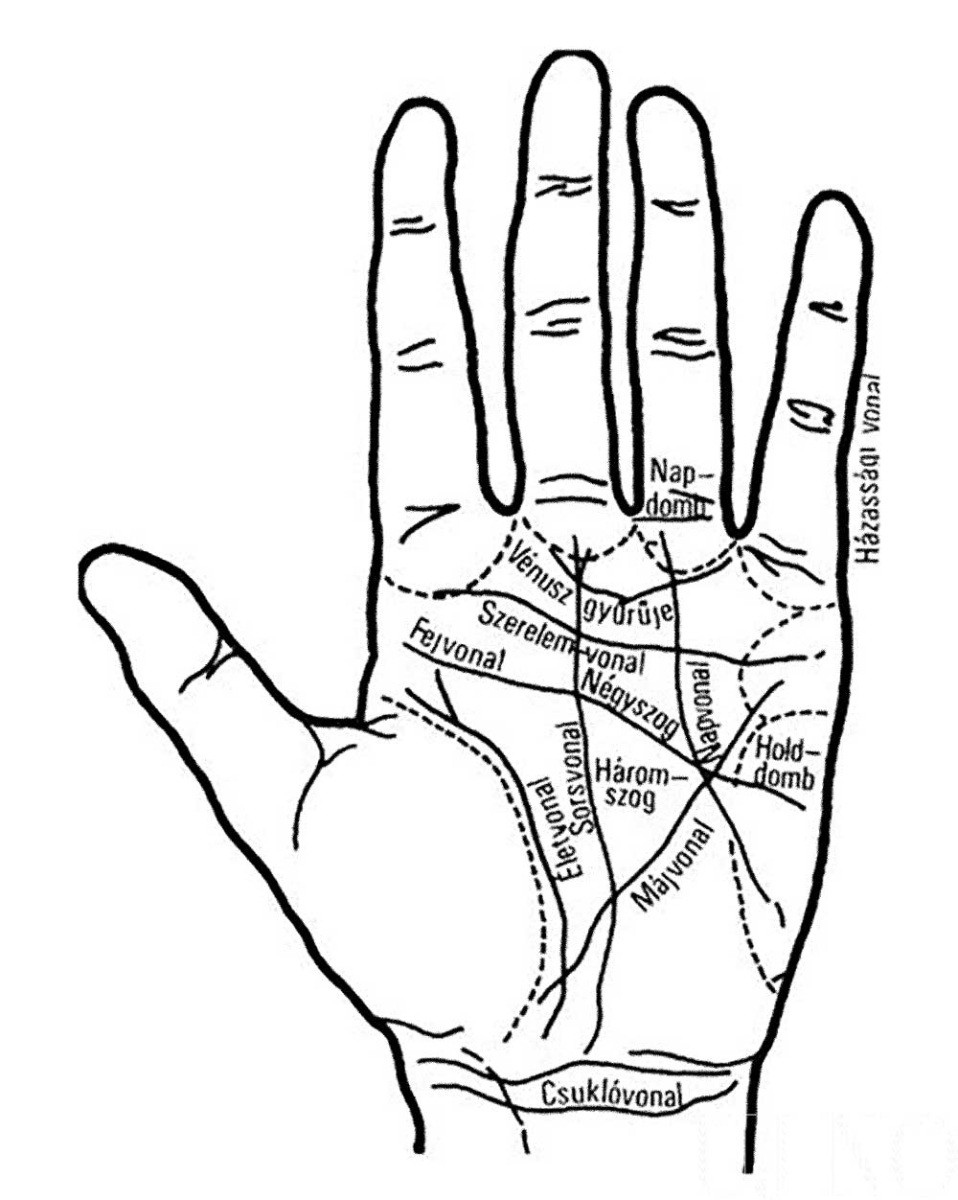 a-tenyer-vonalai-kez.jpg