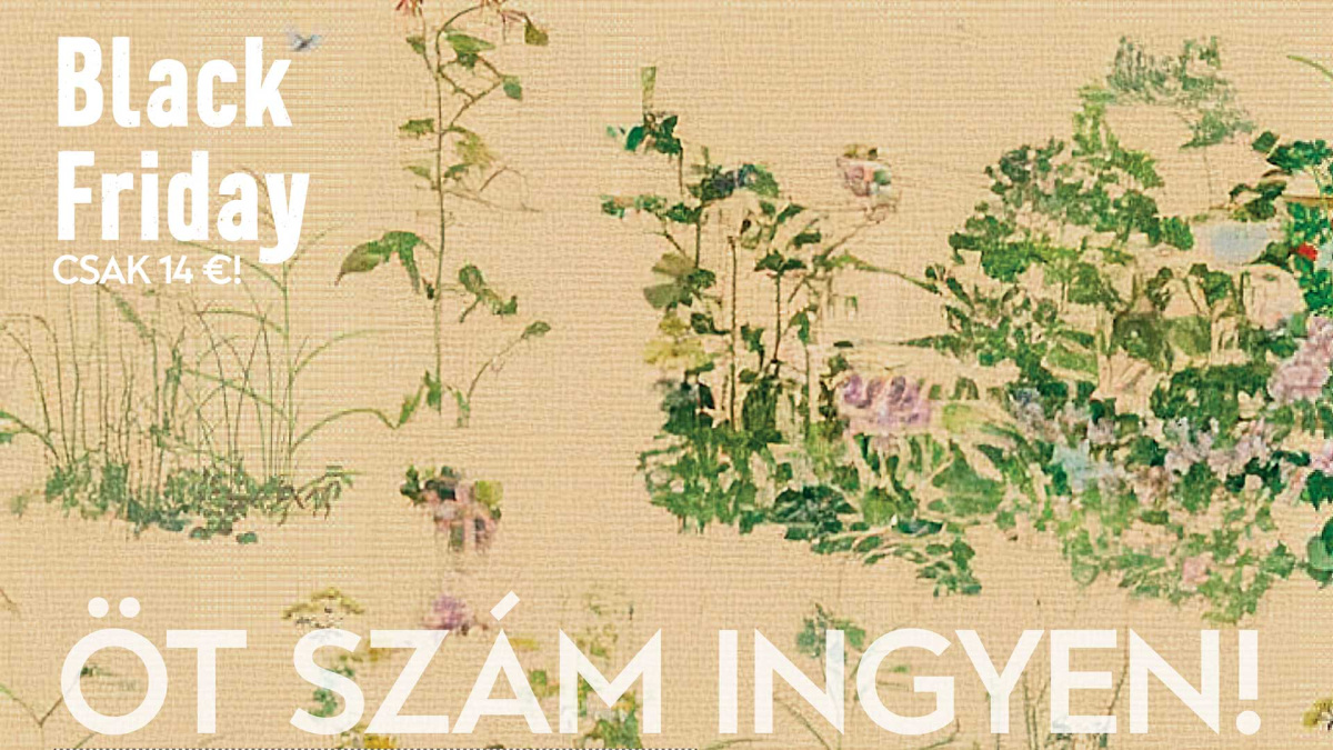 black-friday-elofizetes-kezdo.jpg