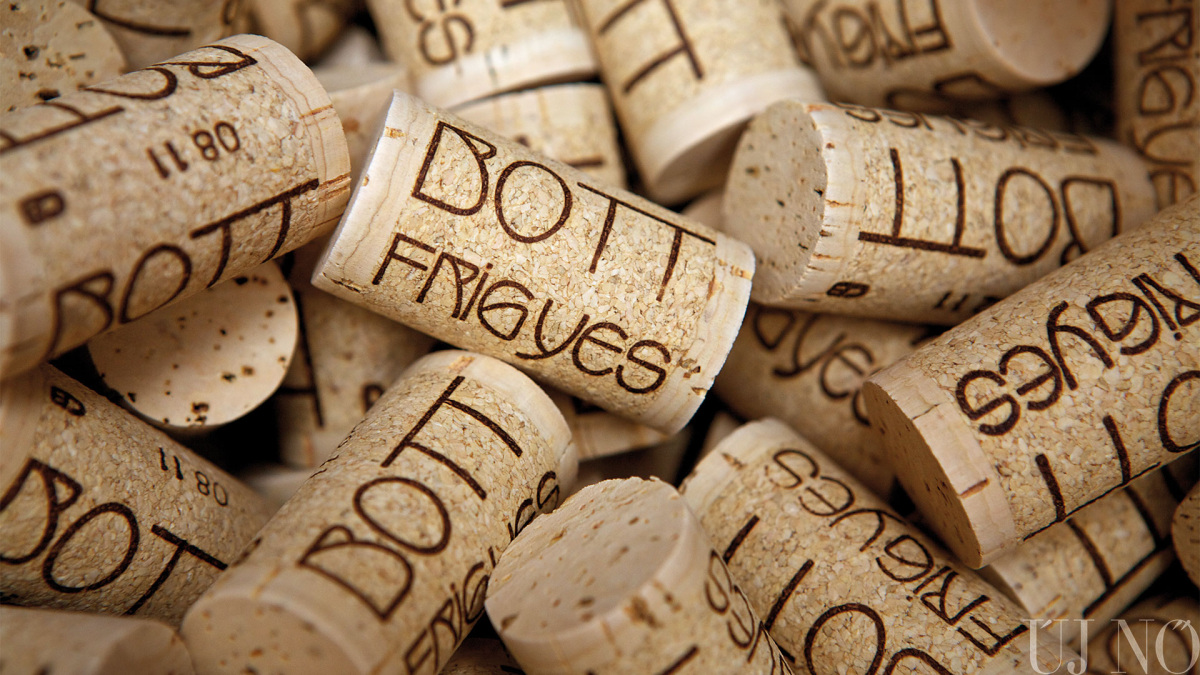 bott-frigyes-es-a-bor-ereje-dugo.jpg