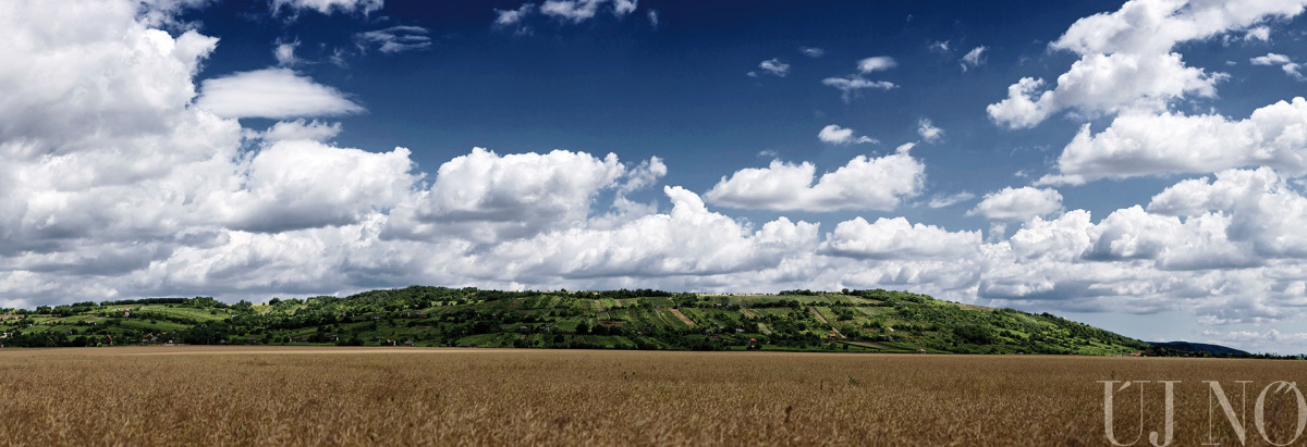 bott-frigyes-es-a-bor-ereje-panorama.jpg