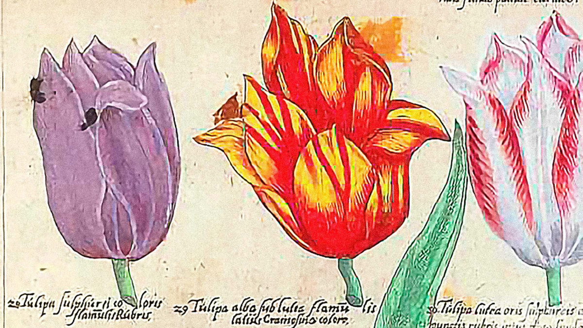delfti-vaza-es-a-tulipan-1.jpg