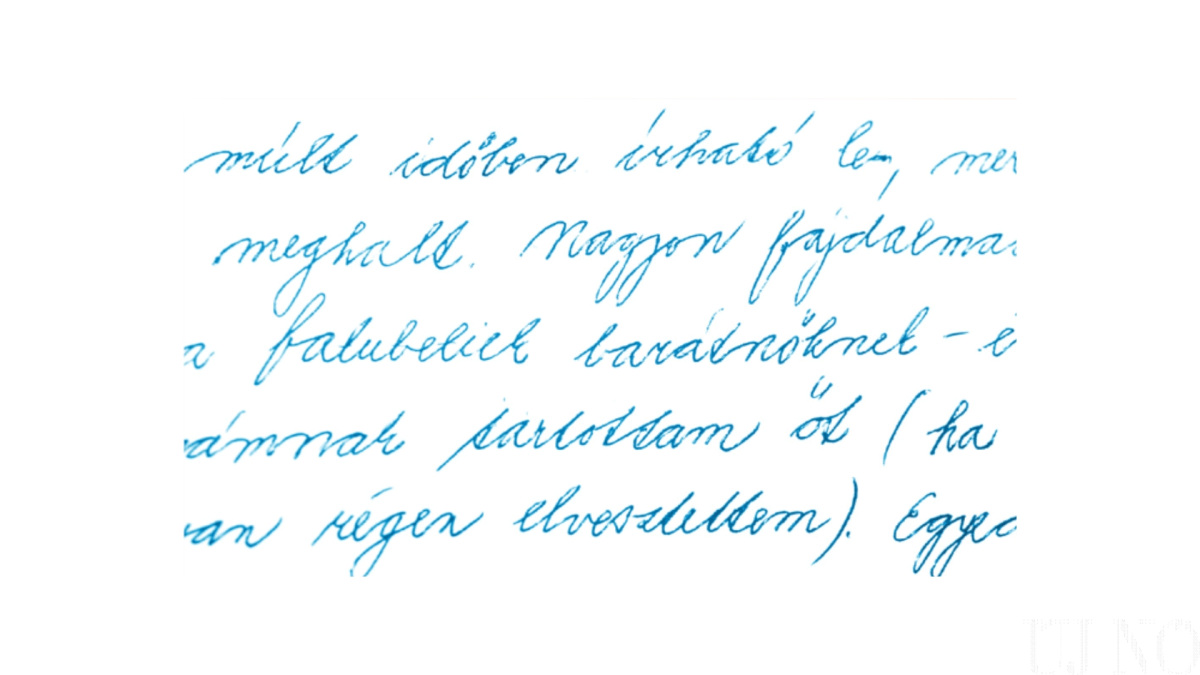 fekvo_7_3.jpg