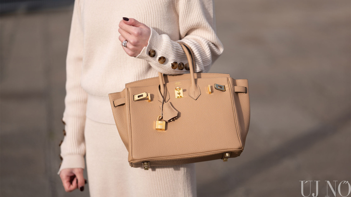 hermes-taksa-a-legszebb-birkin-bag.jpg