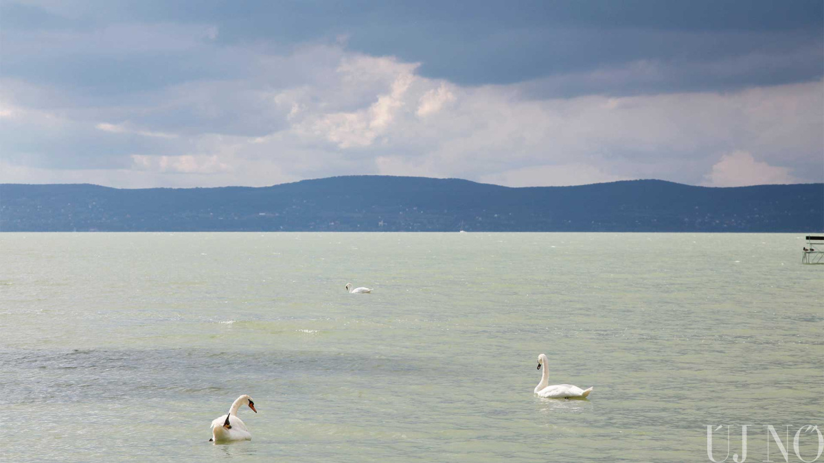 heviz-wellnes-balaton.jpg