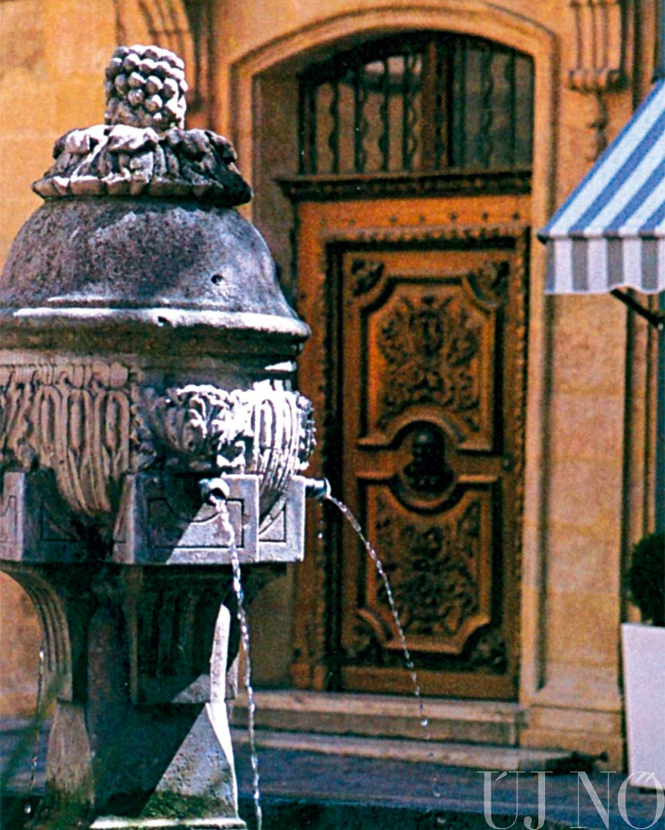 jojjon-velunk-provenceba-kut.jpg