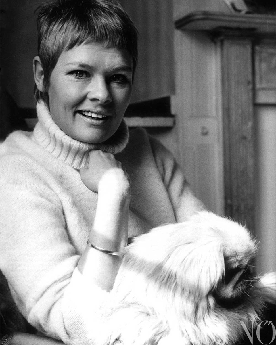 judi-dench-belso.jpg