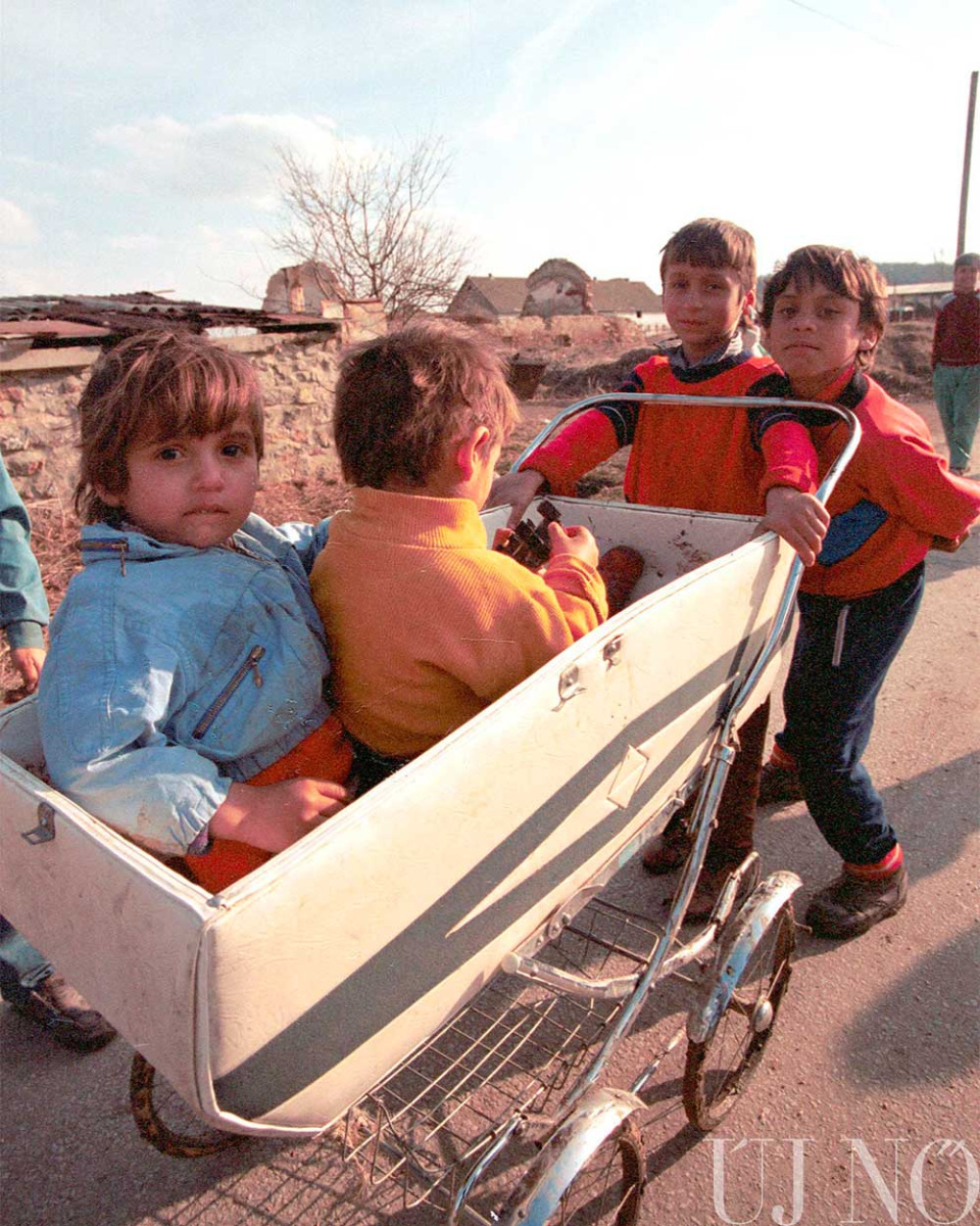 ki-nem-nyilo-rozsa-belso.jpg