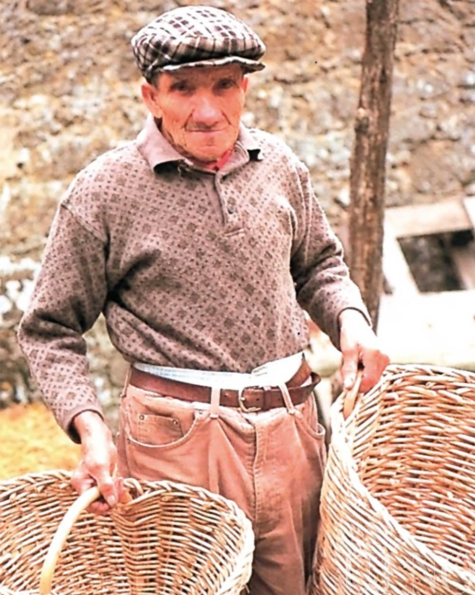 milyen-egy-olajbogyoszuret-bacsi.jpg