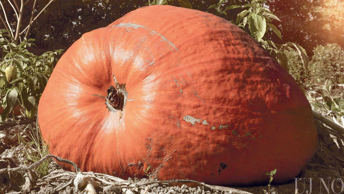 oktober-magazin-oriastok.jpg