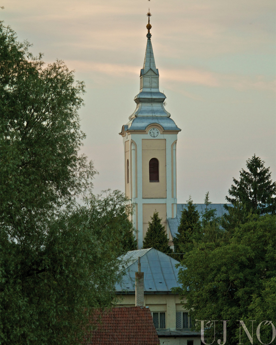 paratlan-elovilag-besen-00006.jpg