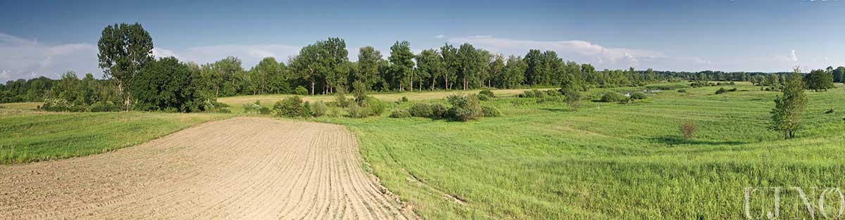 paratlan-elovilag-besen-panorama.jpg