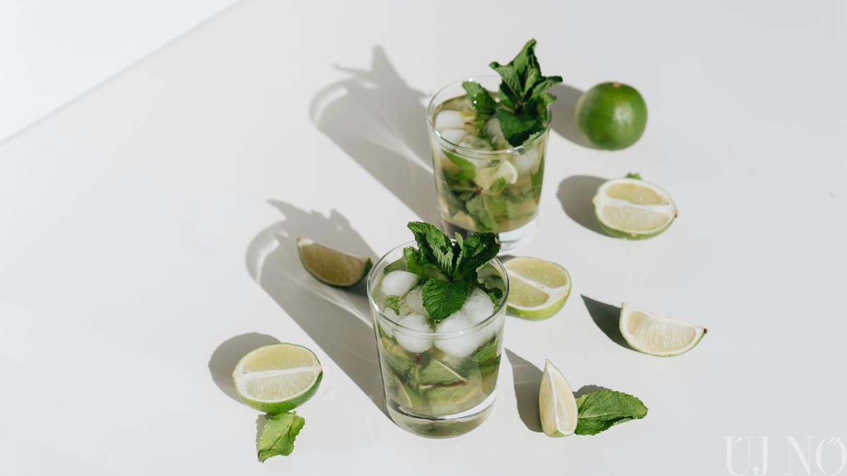pikniktippek-mojito.jpg