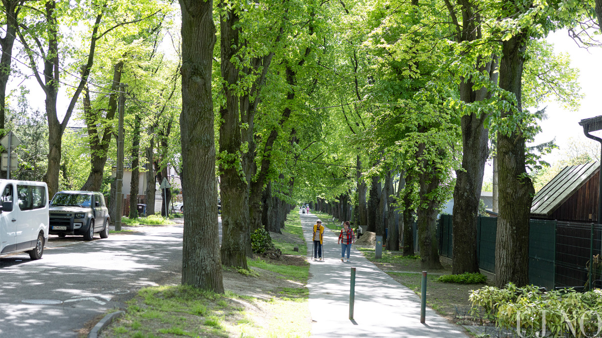 pomle_somorja_fekvo00004.jpg