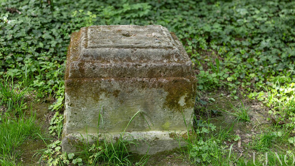 pomle_somorja_fekvo00009.jpg