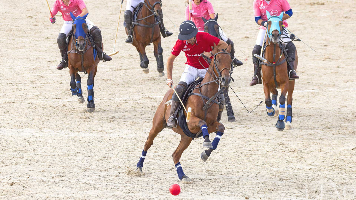 szeptemberi-lapajanlo-lovaspolo_0.jpg