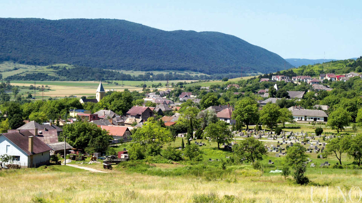 tornagorgo00005.jpg