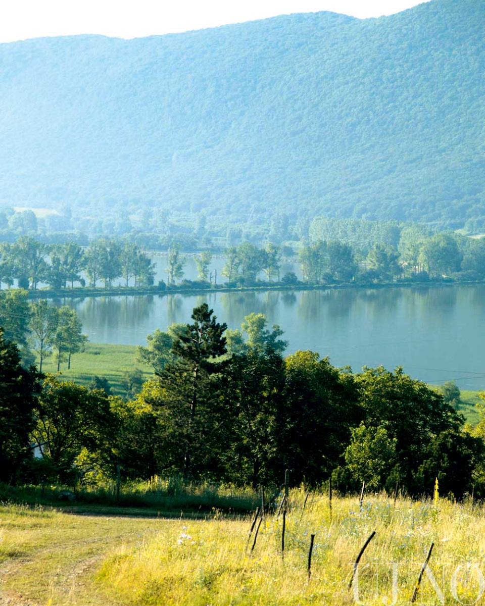 tornagorgo00010.jpg