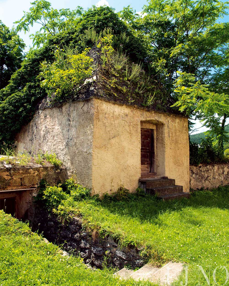 tornagorgo00011.jpg