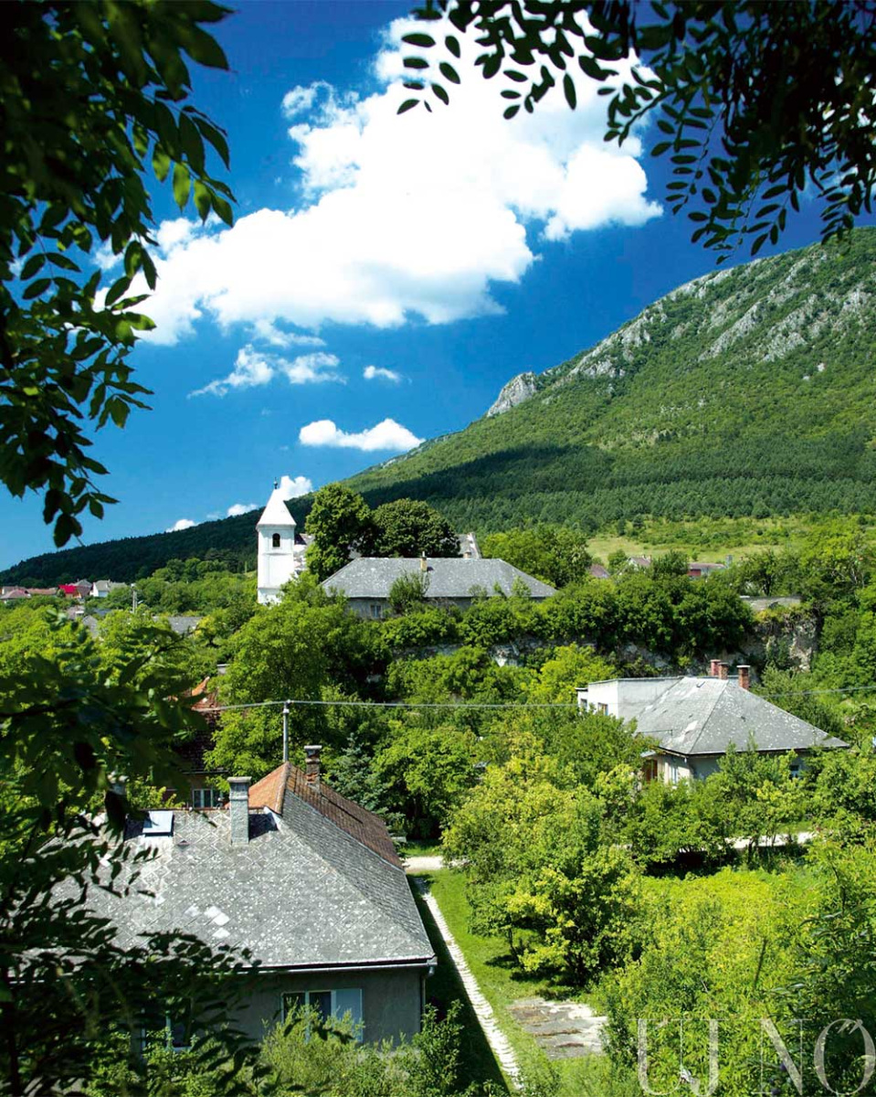 tornagorgo00012.jpg