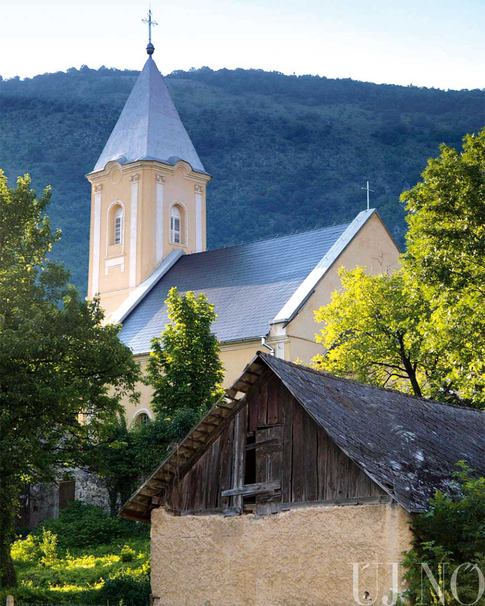 tornagorgo00015.jpg