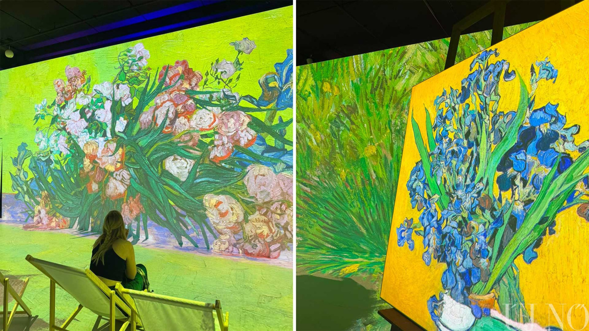 van-gogh-kiallitas-pozsony-2.jpg