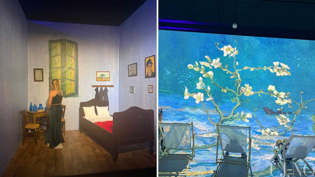 van-gogh-kiallitas-pozsony-3.jpg