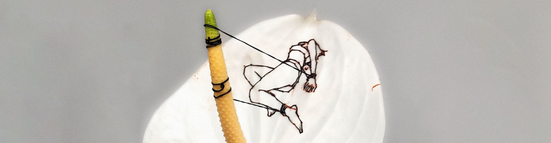 A nő pucér, és még élvezi is A nő pucér, és még élvezi is