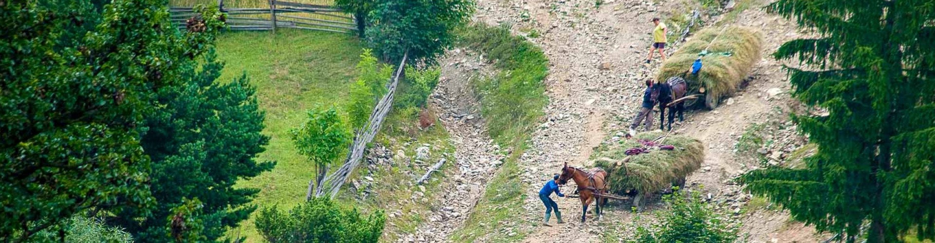 Kaszá(ló)k