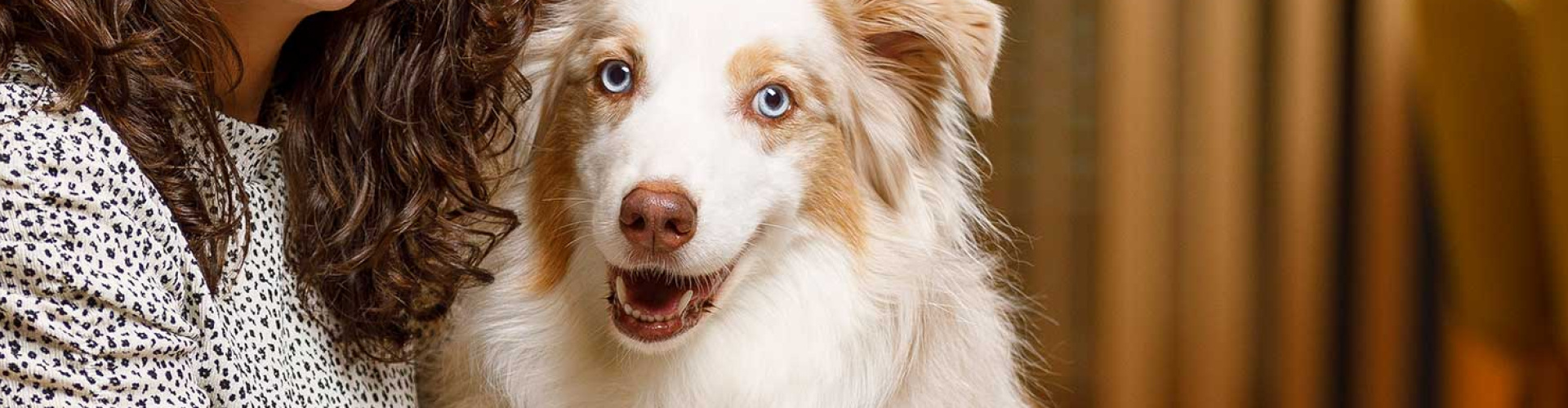 Állatorvosi tanácsok a stresszmentes szilveszterért