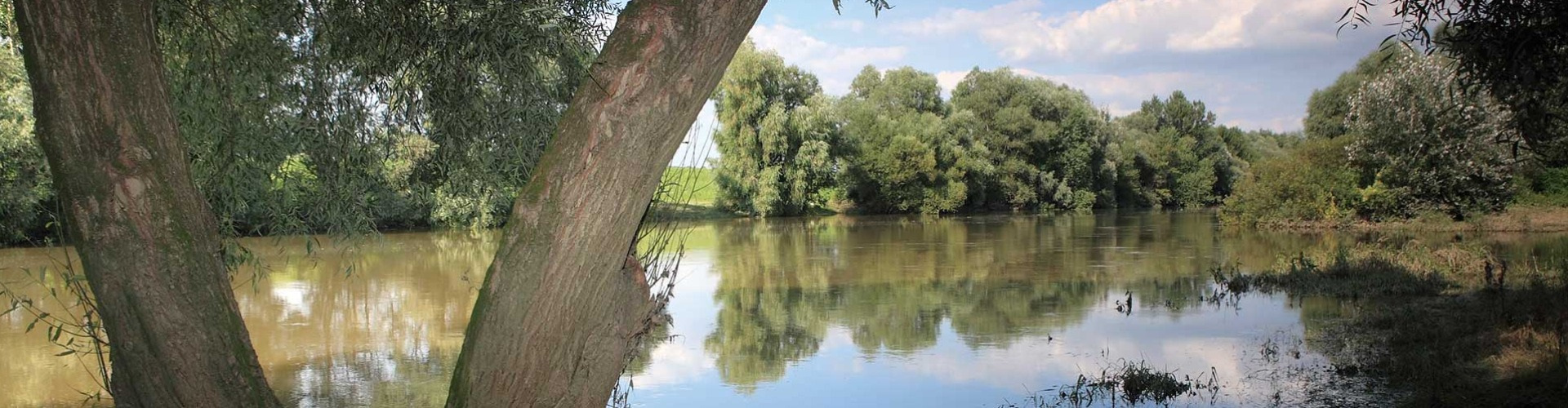 Képeslap Szerdahelyről a Bodrog partján