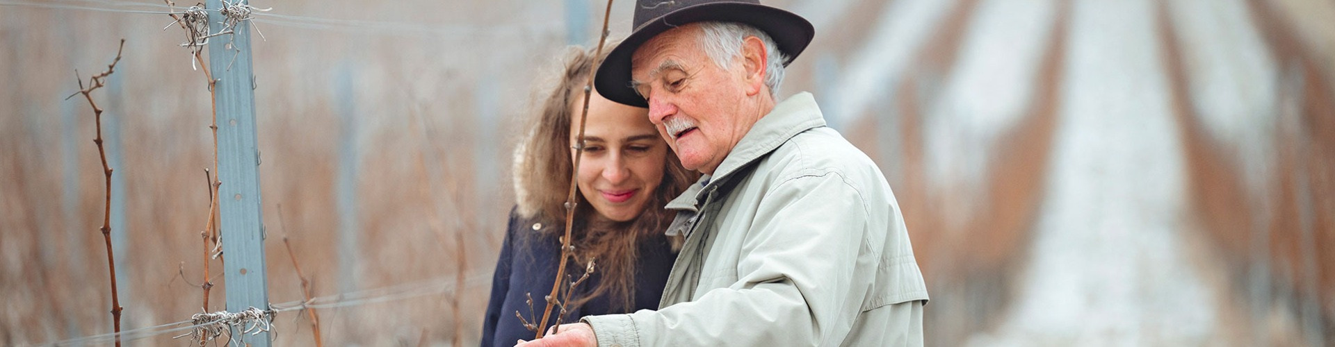 Borász leszek nemsokára