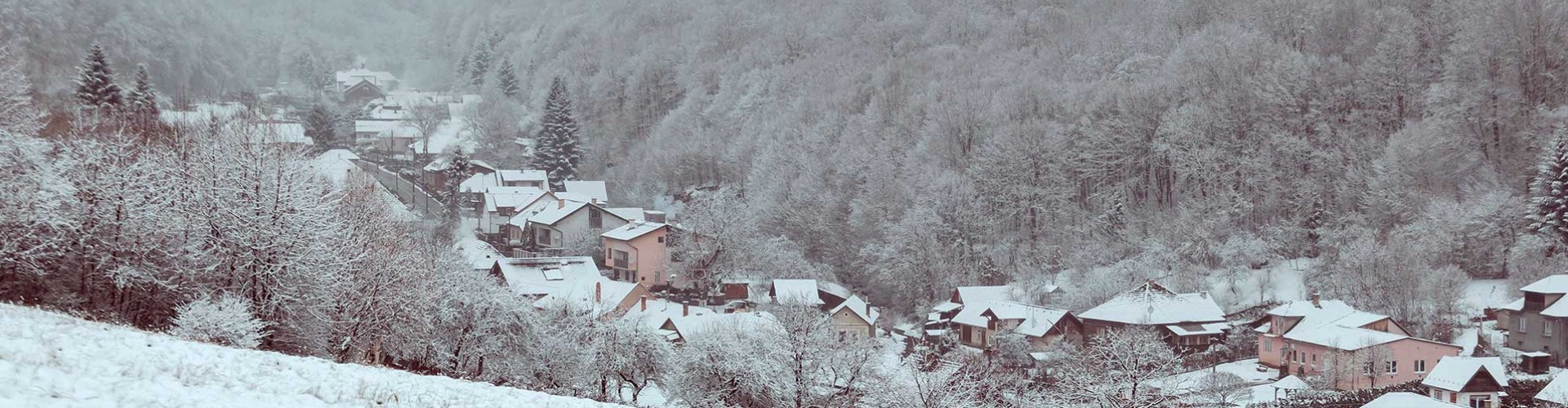 Képes keringő az Aranyvölgyben