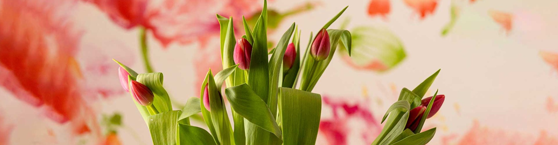 A delfti váza és a tulipán